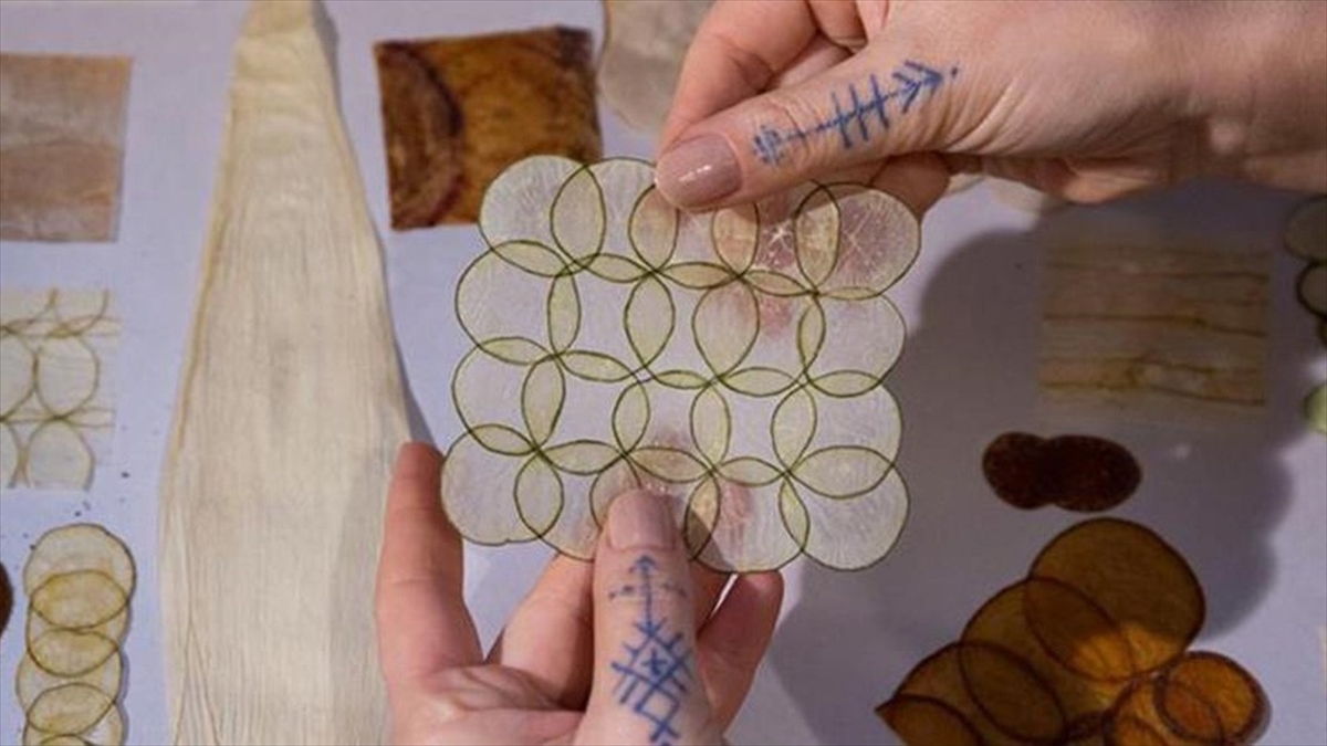 Çevre Bilinci Biyosanatla Birleşti, Organik Maddeler Sanat Eserine Dönüştü