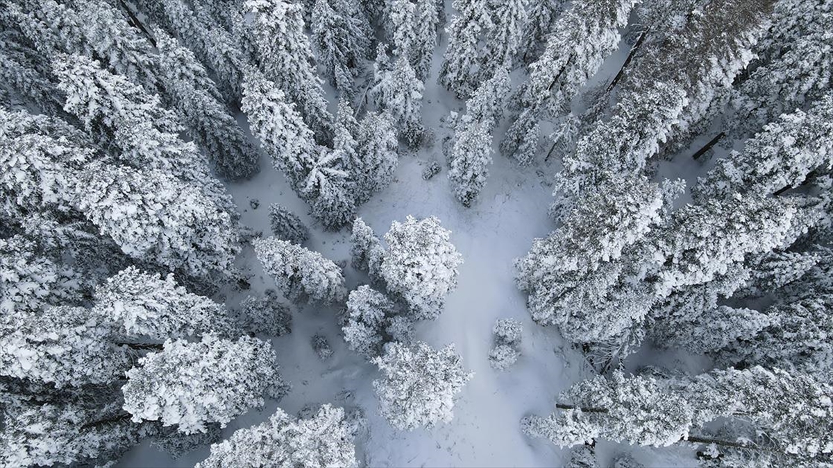 Kastamonu'da Karla Kaplanan Ormanlar Havadan Görüntülendi