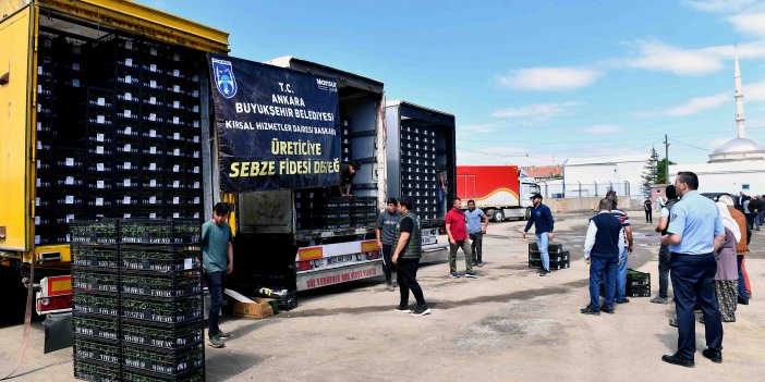 ANKARA BÜYÜKŞEHİR BELEDİYESİNDEN BAŞKENTLİ ÇİFTÇİLERE HİBE DESTEKLİ SEBZE FİDESİ: TALEP TOPLAMA SÜRECİ BAŞLIYOR