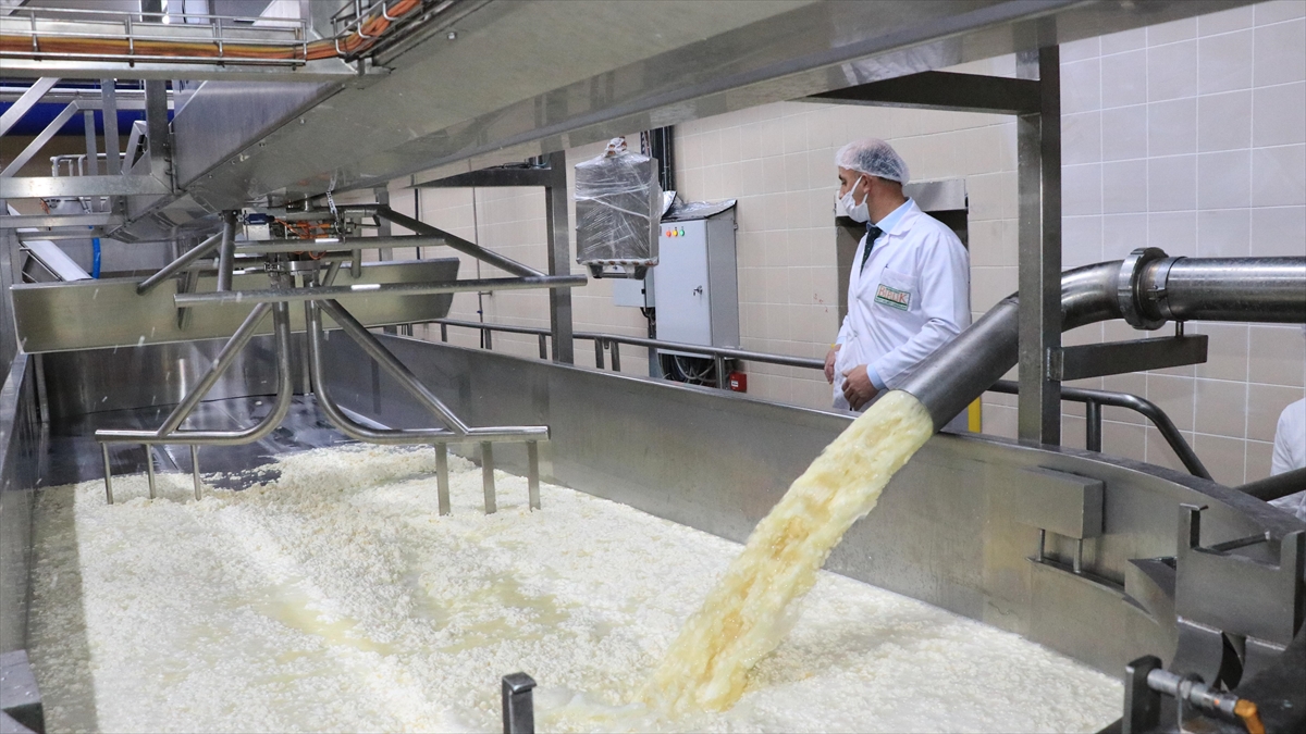 Kooperatiflerin Desteklenmesi Programı'na Başvurular Başladı