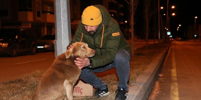 Sahipsiz Hayvanların 15 Yıldır Karnını Doyurup Yarasını Sarıyor