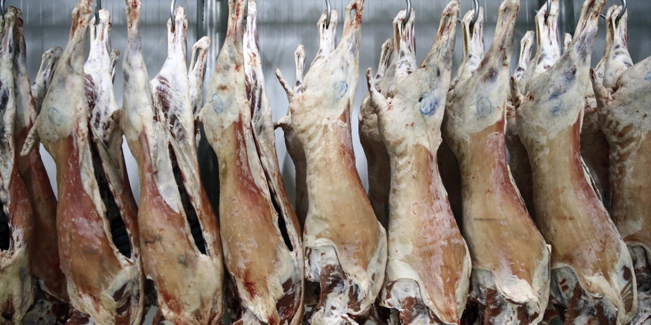 ESK son rakamı duyurdu! Tam 50 Bin Baş!