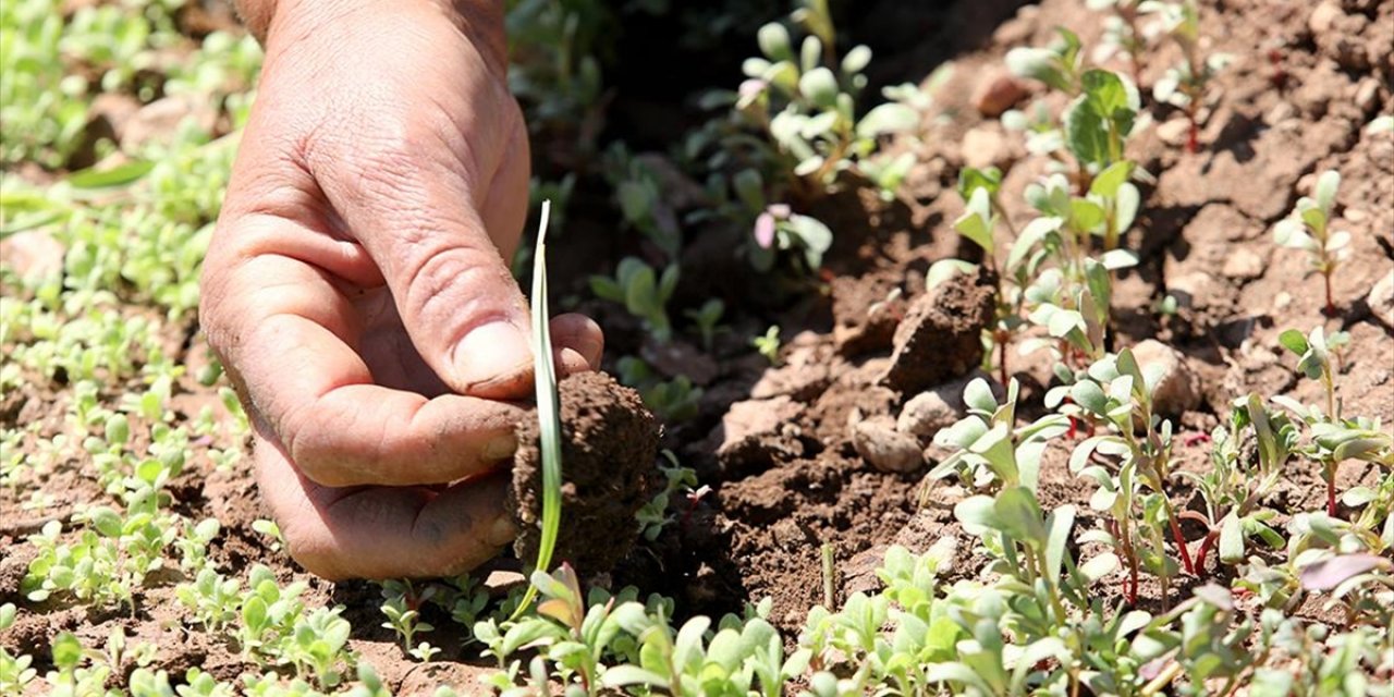 Deprem Bölgesinde Yüzde 100 Artırıldı