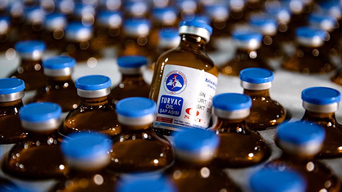 Yeni Tip Şap Aşısı Uygulanan Hayvan Sayısı Bugün 4,5 Milyona Ulaşacak