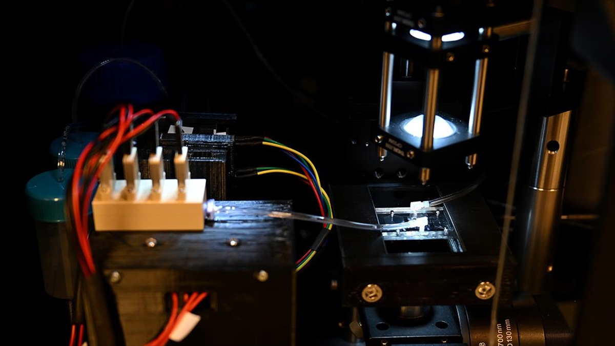 Türk Bilim İnsanları Hücre Sayım Cihazı Geliştirdi