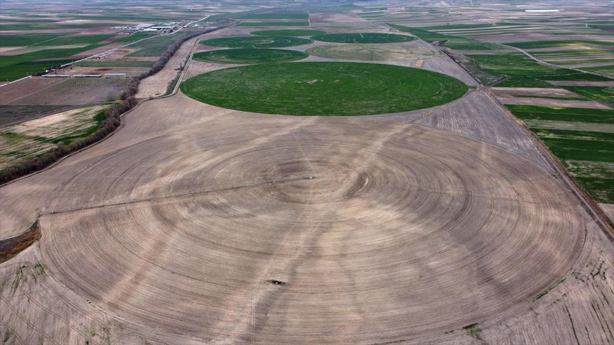 Anadolu Tarım İşletmesinde Modern Tekniklerle Hem Tasarruf Hem Verim Artışı Sağlanıyor