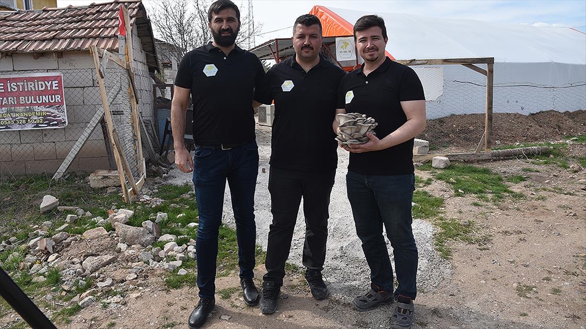 Çocukluk Arkadaşı 3 Mühendisin Mantar Mesaisi