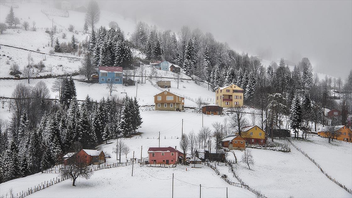 Kadıralak Yaylası'nın "Mavi Yıldızlar"ı Kar Altında Kaldı