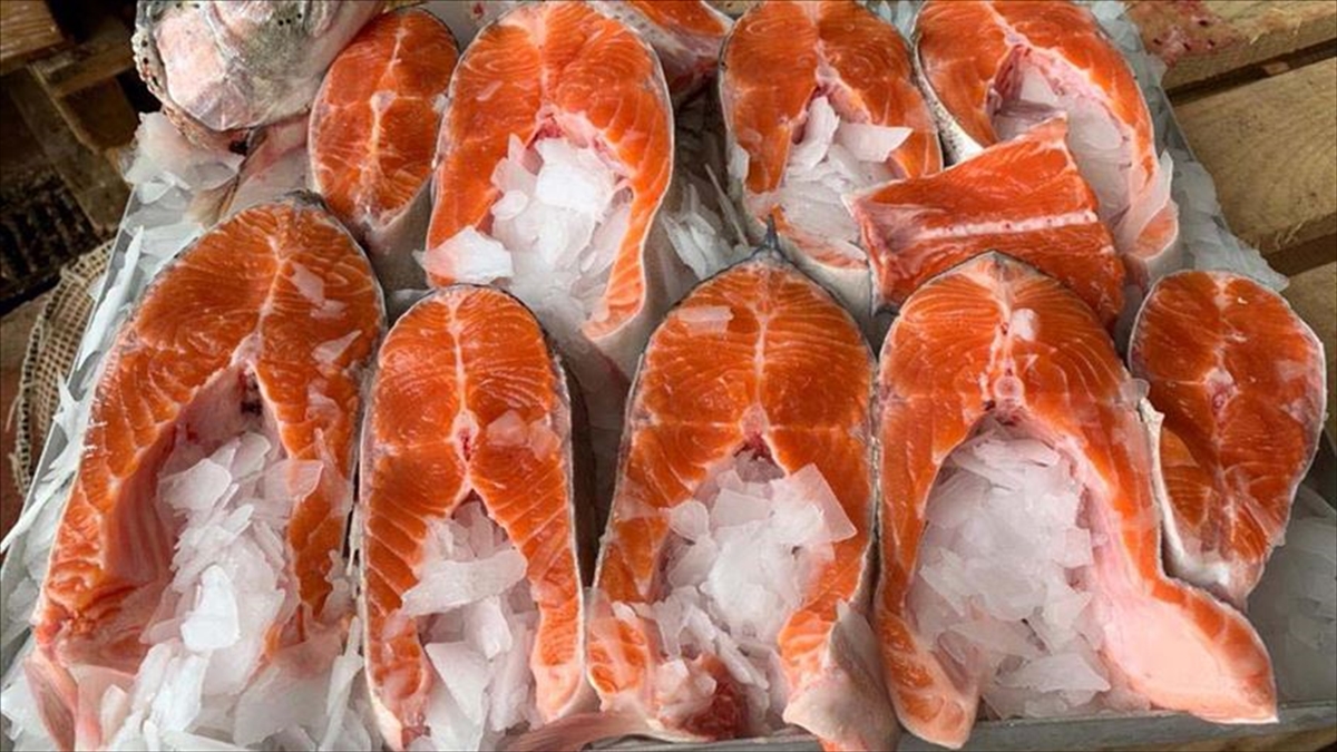 Doğu Karadeniz'den 3 Ayda 23,1 Milyon Dolarlık Türk Somonu İhracatı