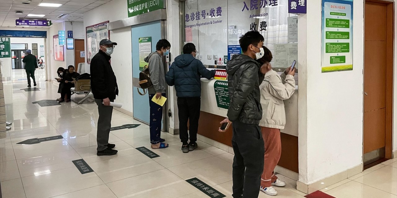 Kuş Gribi can aldı! Ülke panikte!