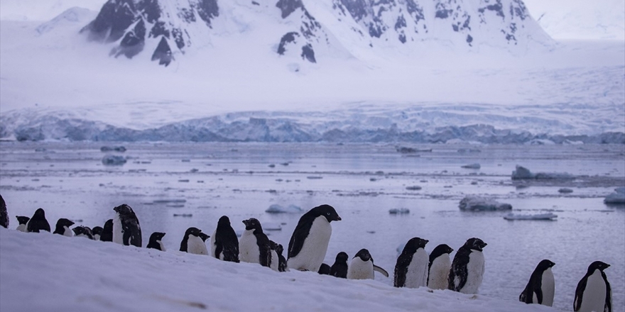 'Sanayileşmenin Etkilerinden Antarktika Da Payını Aldı'