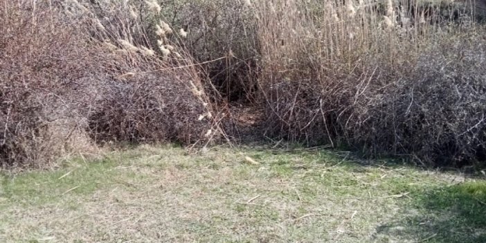 Ankara'da kesik baş vahşeti
