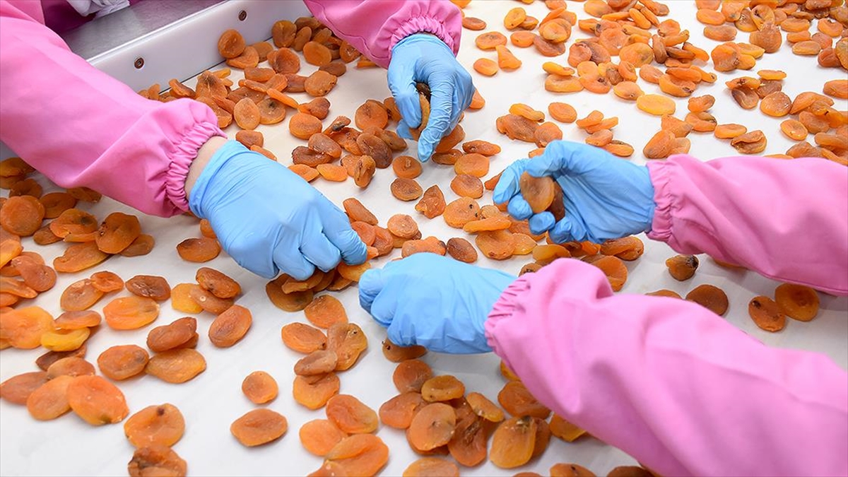 Emtia Piyasasında Satış Baskısı Sürüyor