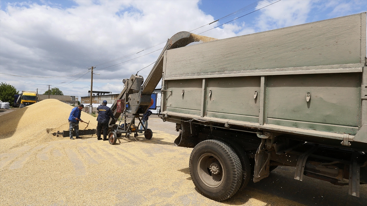 Tahıl Krizinin Yaşandığı Tunus’a Abd’den 25 Bin Ton Buğday Desteği