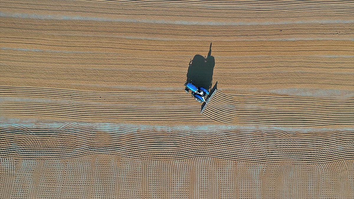 Bakan Kirişci, Cumhurbaşkanı Erdoğan'ın Tarım Sektörüne Yönelik Müjdelerinin Detaylarını Açıkladı