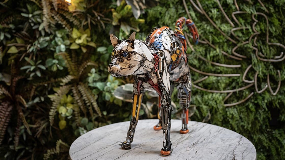 Atıklardan Yapılan Van Kedisi Pişo İle "van Gölünü Kirletmeyin" Mesajı