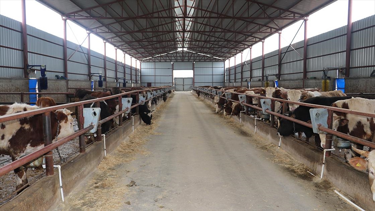 Hektaş'tan 48 Milyon Dolarlık Yeni Üretim Tesisi Yatırımı