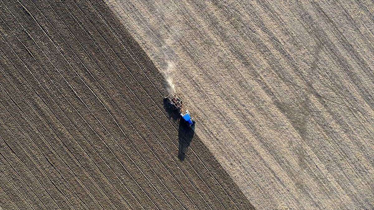 Bakan Kirişci: 2023 Yılı Tarımsal Destekleme Bütçesi 57,6 Milyar Lira