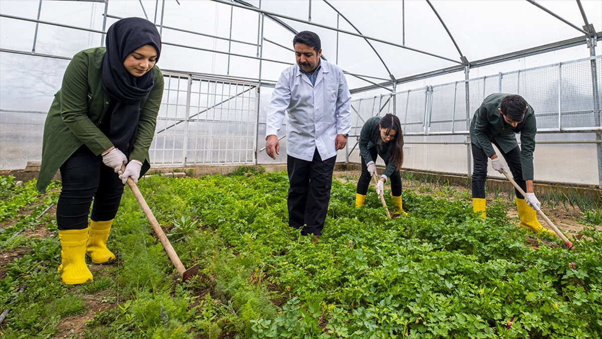 Milli Eğitim Bakanlığından Tarım Liseleri Hamlesi