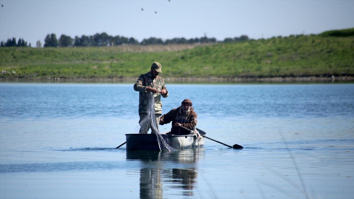 Tel Abyad'ın Belih Nehri'ndeki Bereketlilik Balıkçıları Memnun Etti