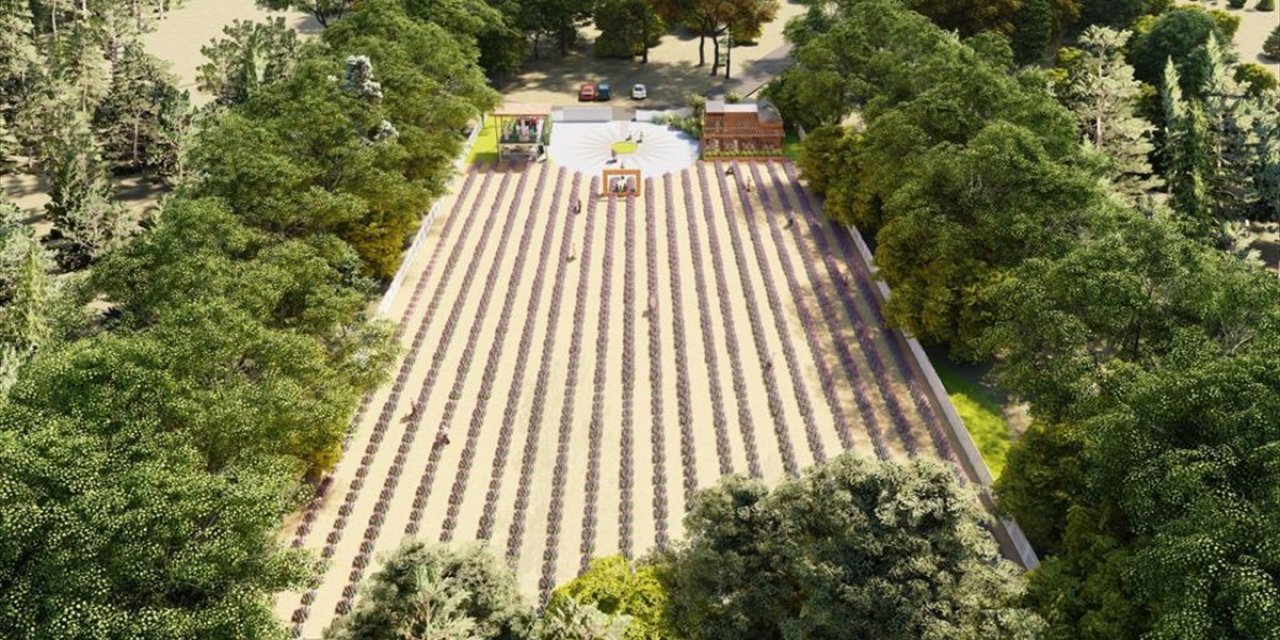 Kaş'ta "Tıbbi Aromatik Bitkiler İşleme Ve Değerlendirme Merkezi" Kuruluyor