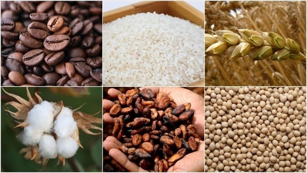 Emtia Piyasasında Dalga Boyu Yükseldi