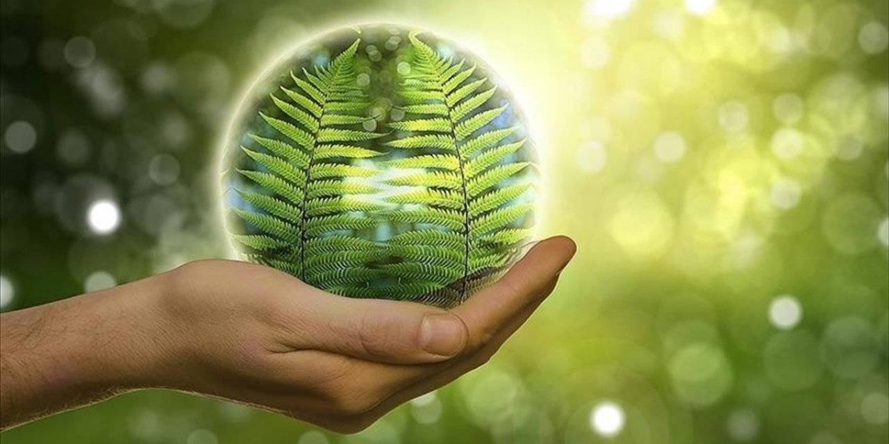 Oxford:  Ab'de Rus Gazının Yerini Alabilir