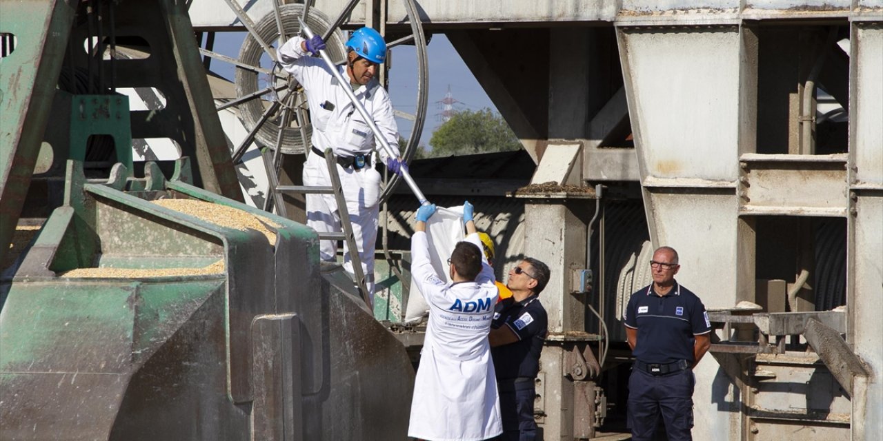 Bm, Tekrar Başladığını Duyurdu