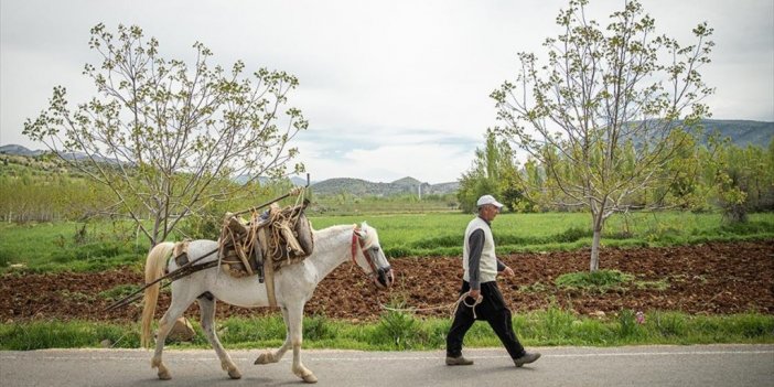 Kahramanmaraş'ın Engebeli Arazileri Atlarla Sürülüyor