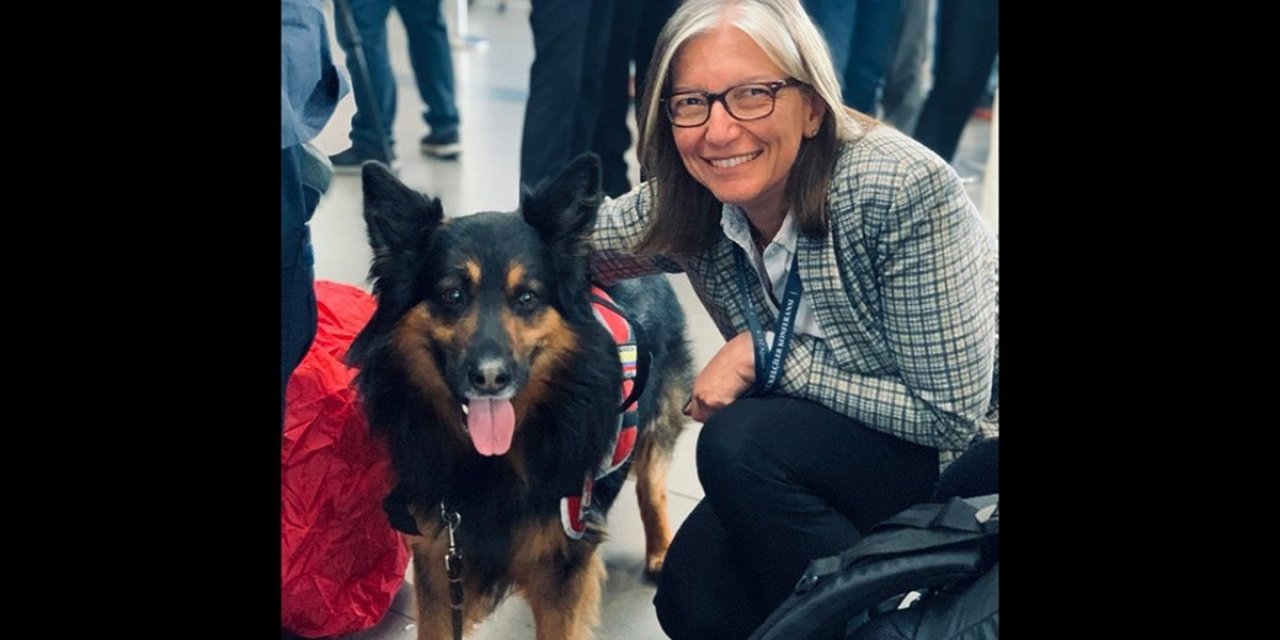 Kolombiya'dan Türkiye'ye Gelen Arama Kurtarma Köpeği "aaron" Hayatını Kaybetti