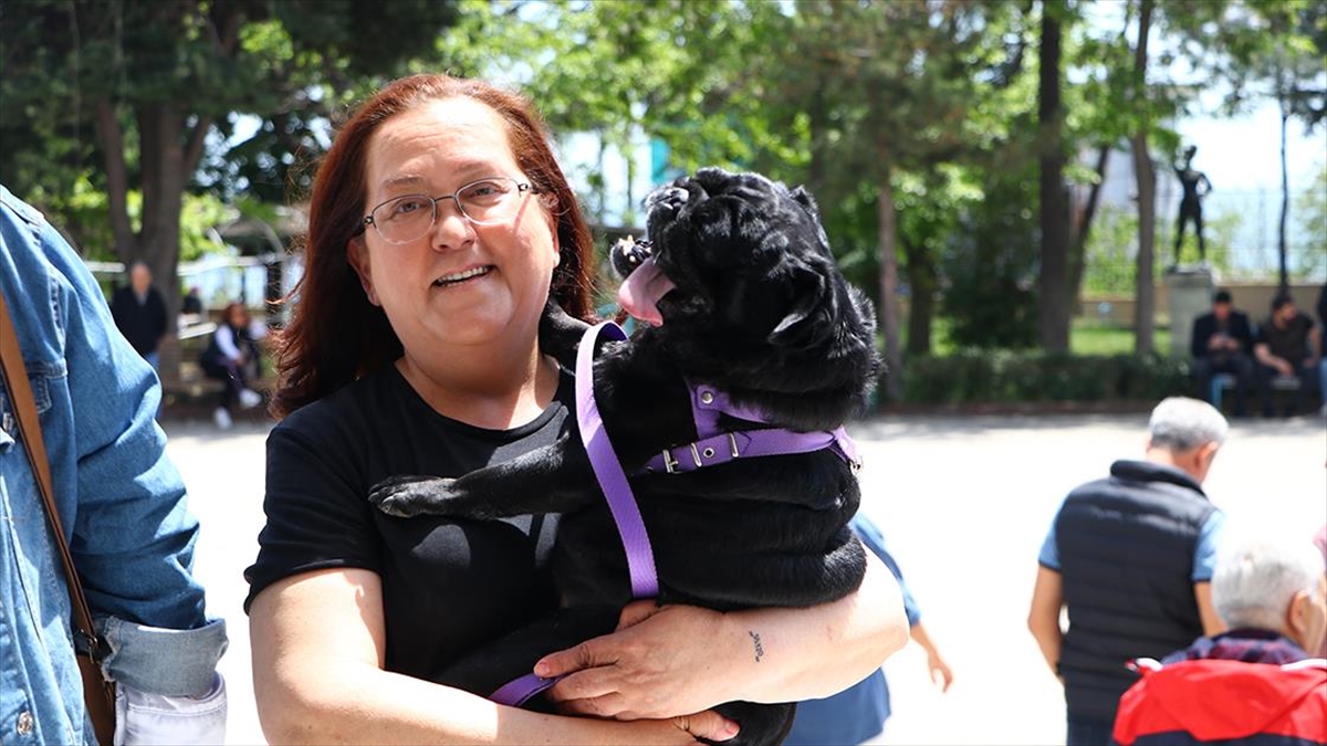 Oy Kullanmaya "Can Dostları" İle Geldiler