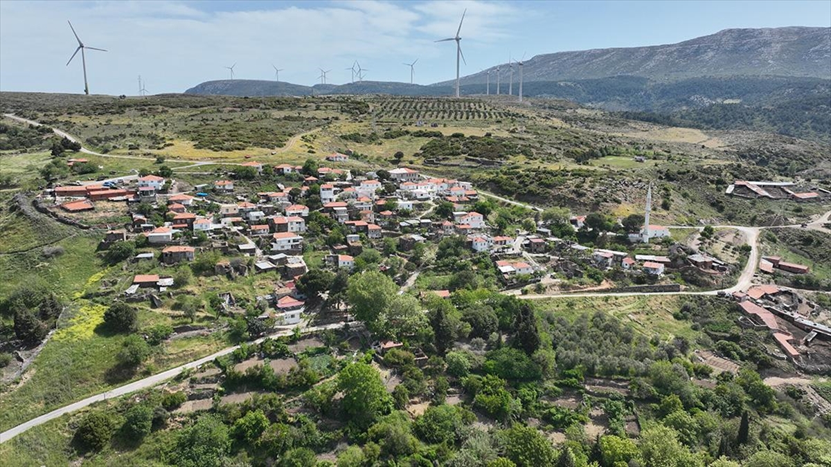 İzmir'in 84 Seçmenli Yayla Mahallesi'nde Oy Verme İşlemi Sürüyor