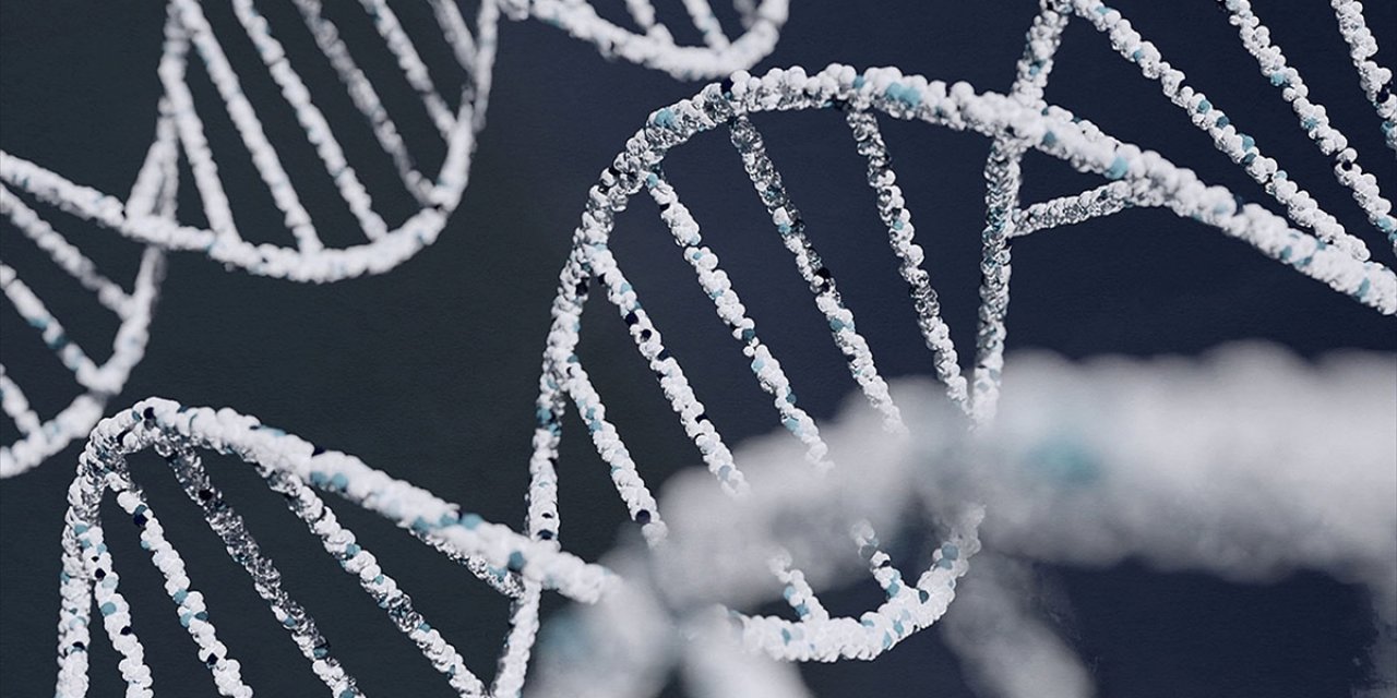 ABD'deki Çalışmaya Göre, Ayak İzi Veya Nefesten İnsan Dna'sı Tespit Edilebiliyor
