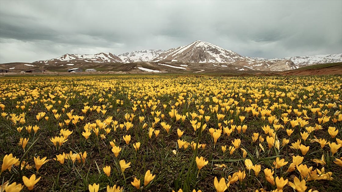 "antalya'nın Alpleri" Eğrigöl Fotoğraf Tutkunlarını Ağırlıyor