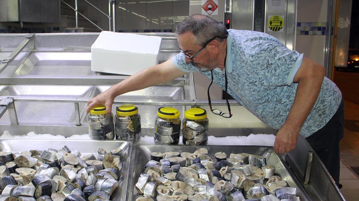 Sinop'ta Balıkçılarca Yapılan "lakerda" Coğrafi İşaret Tescil Belgesi Aldı