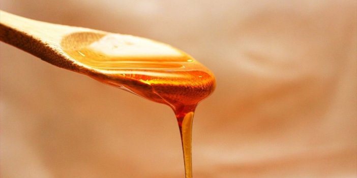 Türk Balı 4 Ayda 13,5 Milyon Dolar Kazandırdı