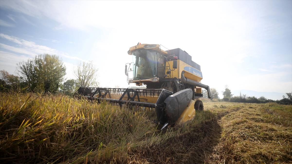 Tarımsal Destekleme Ödemeleri Bugün Çiftçilerin Hesaplarına Aktarılacak