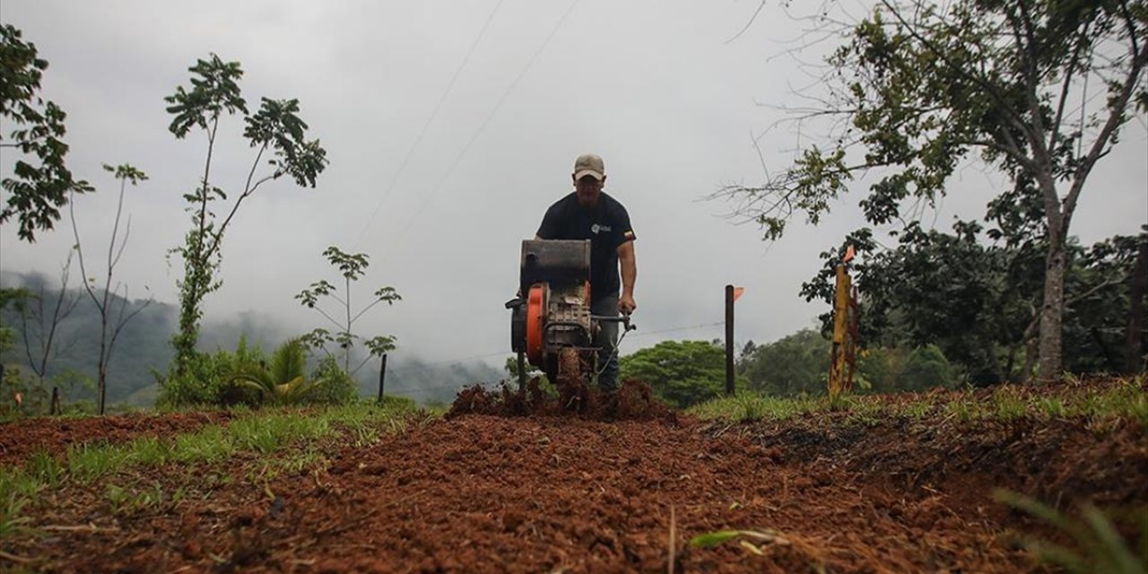 Mayın Kurbanlarının Yakınları Ekonomiye Destek Oluyor