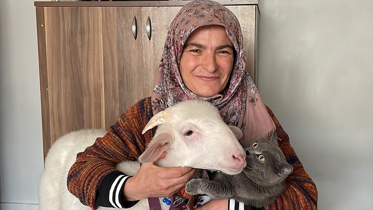 Oy Kullanmaya Kuzusuyla Geldi