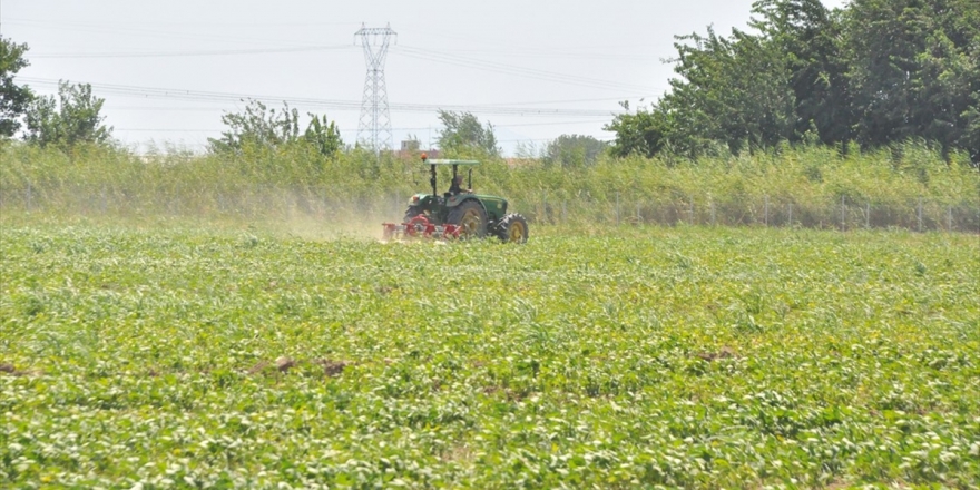 Ege'nin Verimli Toprakları Suyla Buluştu