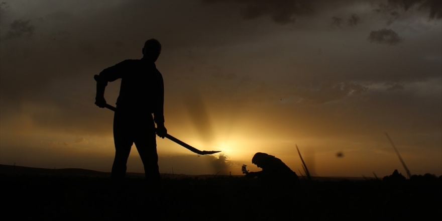 Köye Dönüşe 'Proje' Desteği