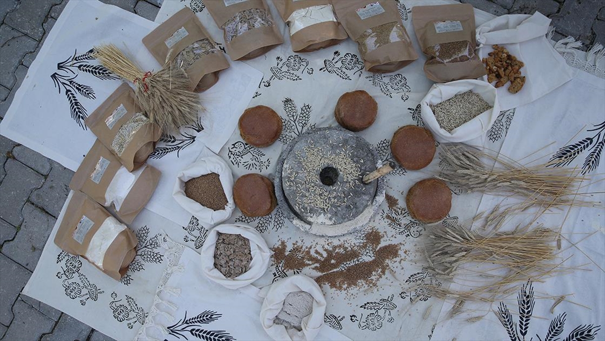 Atıl Tarlalara Siyez Buğdayı Eken Genç Çiftçi, Ürünlerini Türkiye Geneline Pazarlıyor