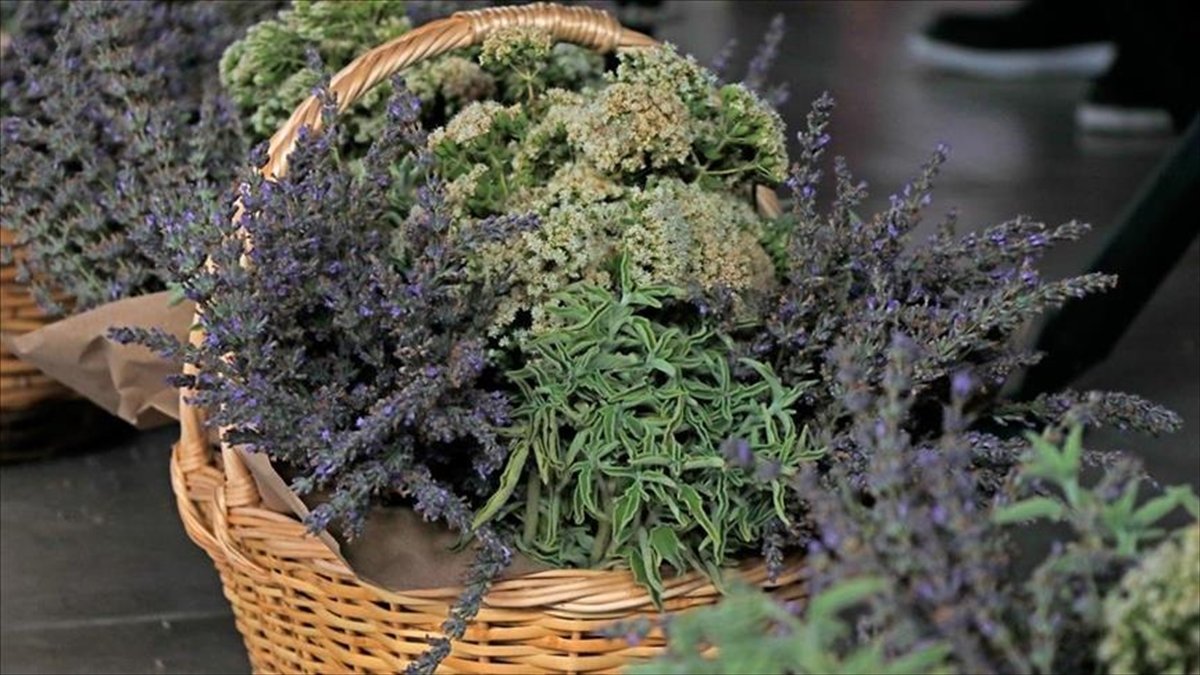 Tıbbi Aromatik Bitkilerin Kontrolsüz Kullanımının Sağlık Sorunlarına Yol Açabileceği Belirtildi