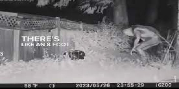 “Uzaylı” olduğu iddia edilen görüntünün aslı ortaya çıktı