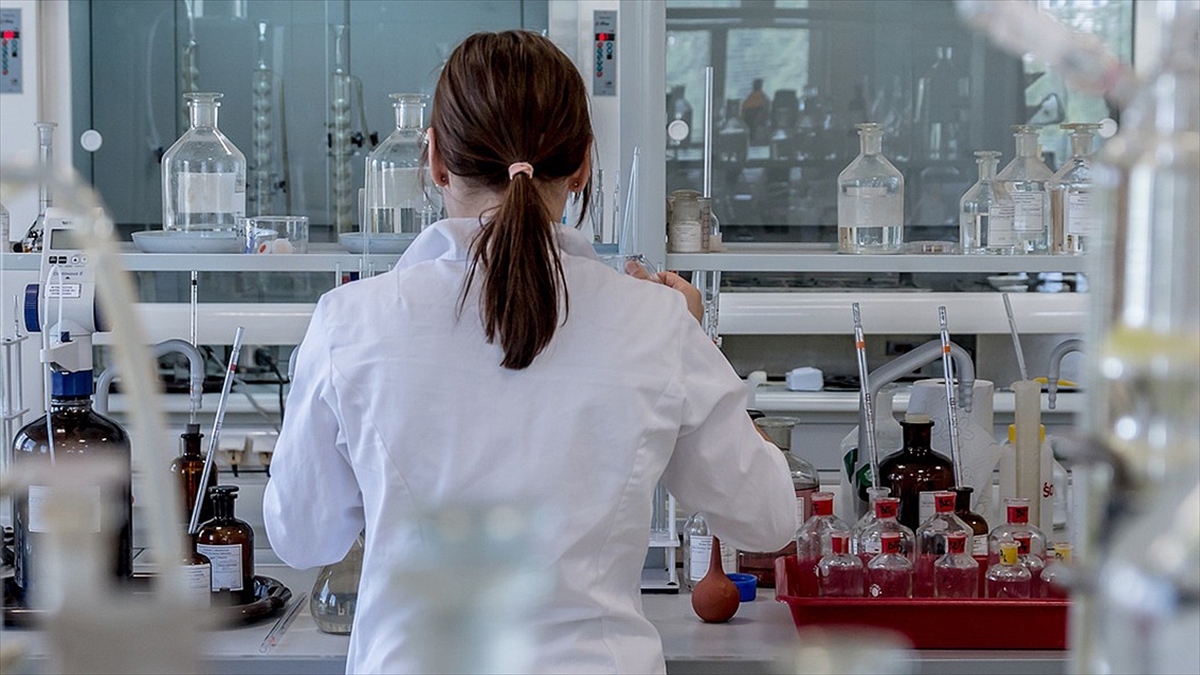 Bakterilerin, Gut Ve Kalp Damar Hastalıklarının Tedavisinde Kullanılabileceği Belirtildi