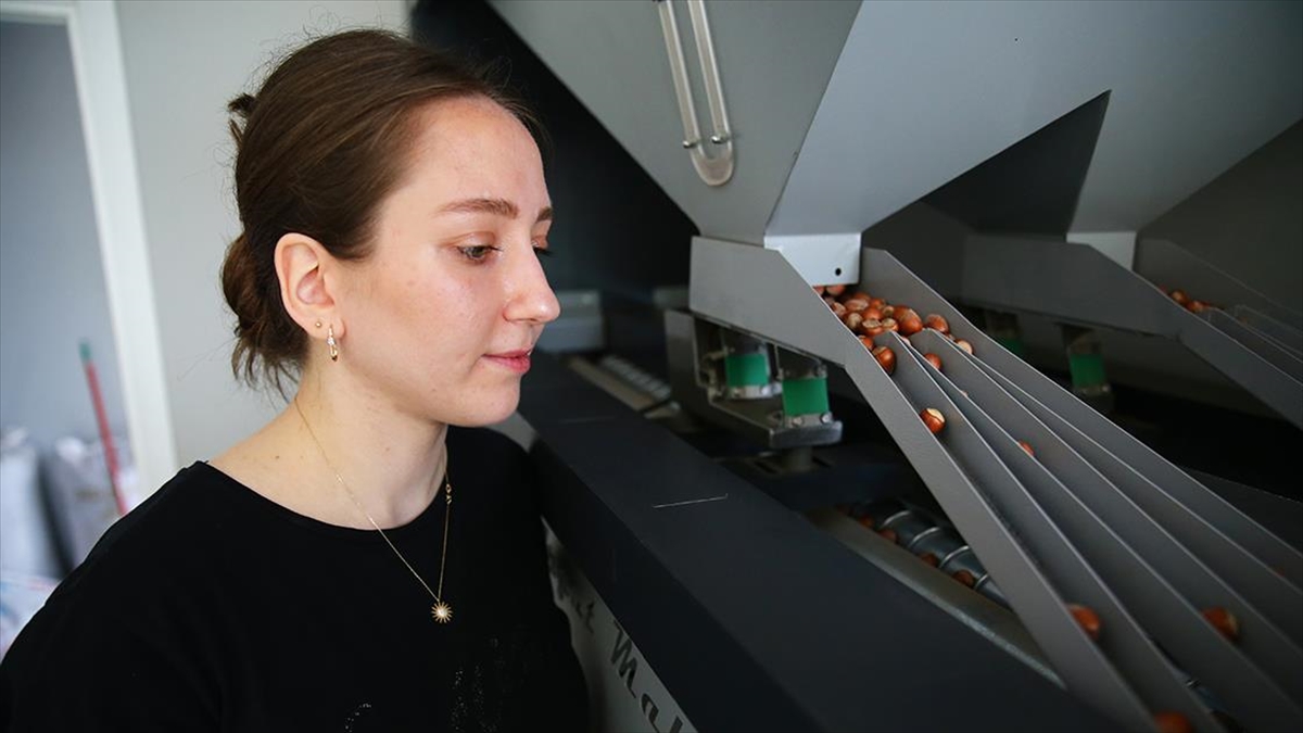 Kadın Girişimci Atölyesinde İşlediği Fındığı Kendi Markasıyla Pazarlıyor