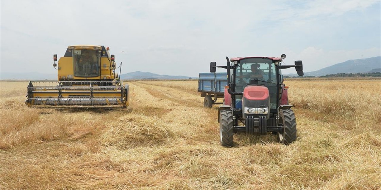 Kahramanmaraş'ta Arpa Ve Buğday Hasadı Başladı