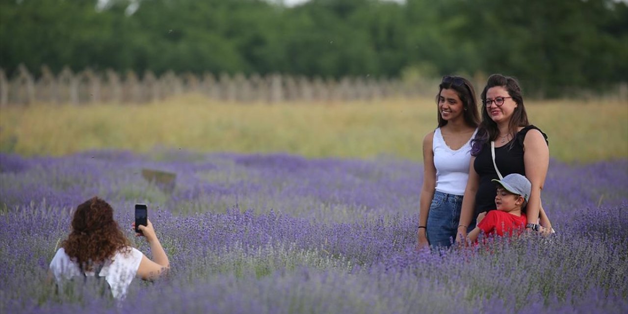Edirne'nin "Mor Turizmi" Başladı