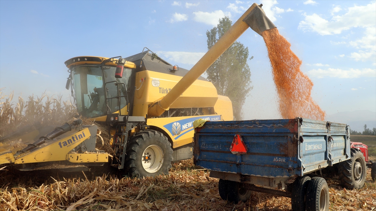 Tmo Günlük Hububat Alım Kapasitesini Artırıyor