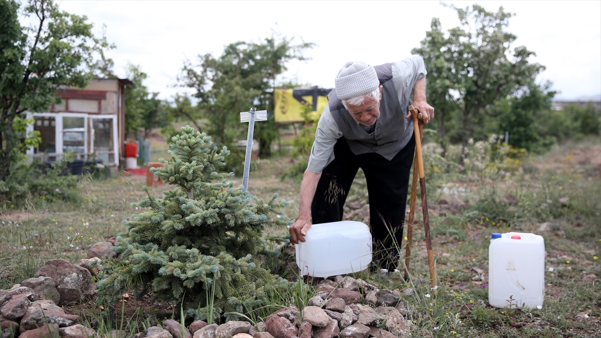 Yaşı 93 Olmasına Rağmen Çevreyi Yeşertmek İçin Çalışmaktan Vazgeçmiyor